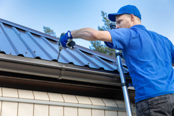 Best Metal Roofing Installation  in Shafer, MN