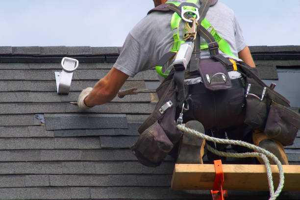 Professional  Roofing repair and installation in Shafer, MN